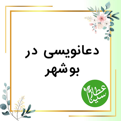 شماره تلفن دعانویس در بوشهر 09034901631