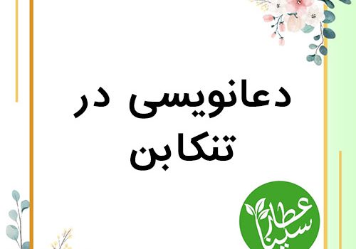شماره تلفن دعانویس در تنکابن 09034901631