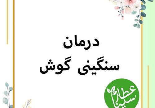 شاخص سنگینی گوش